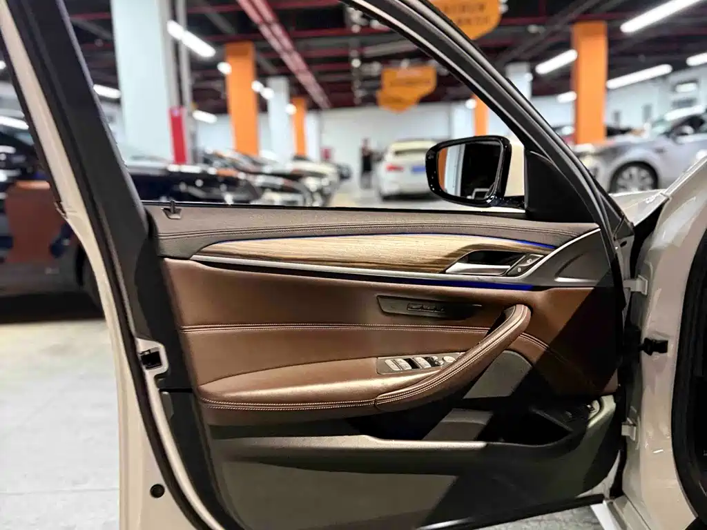 BMW 5 Series New Energy 2019