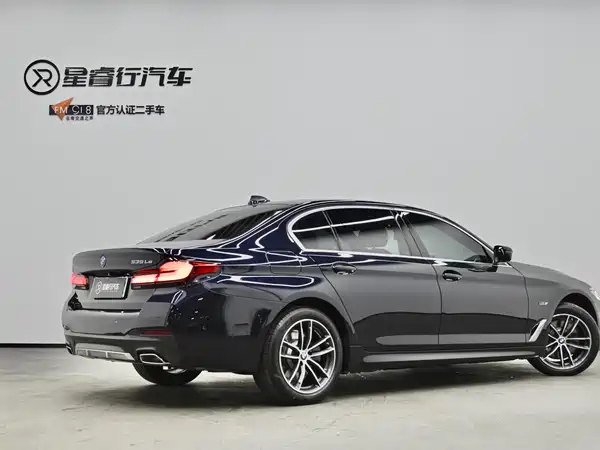 BMW 5 Series New Energy 2022