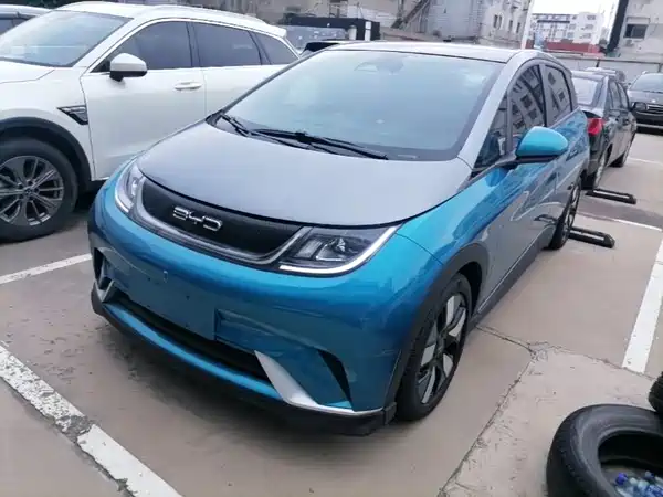 BYD Dolphin 2022
