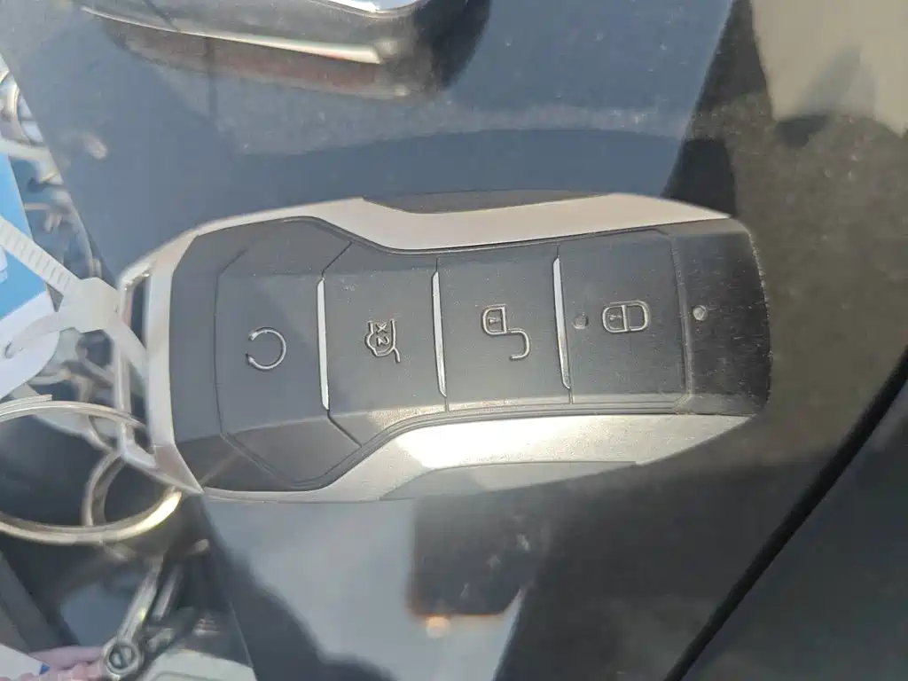 BYD Song Pro New Energy 2025 — фото 17