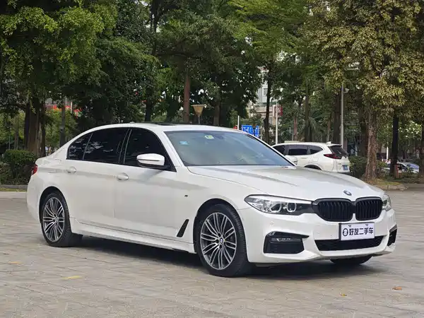 BMW 5 Series 2019