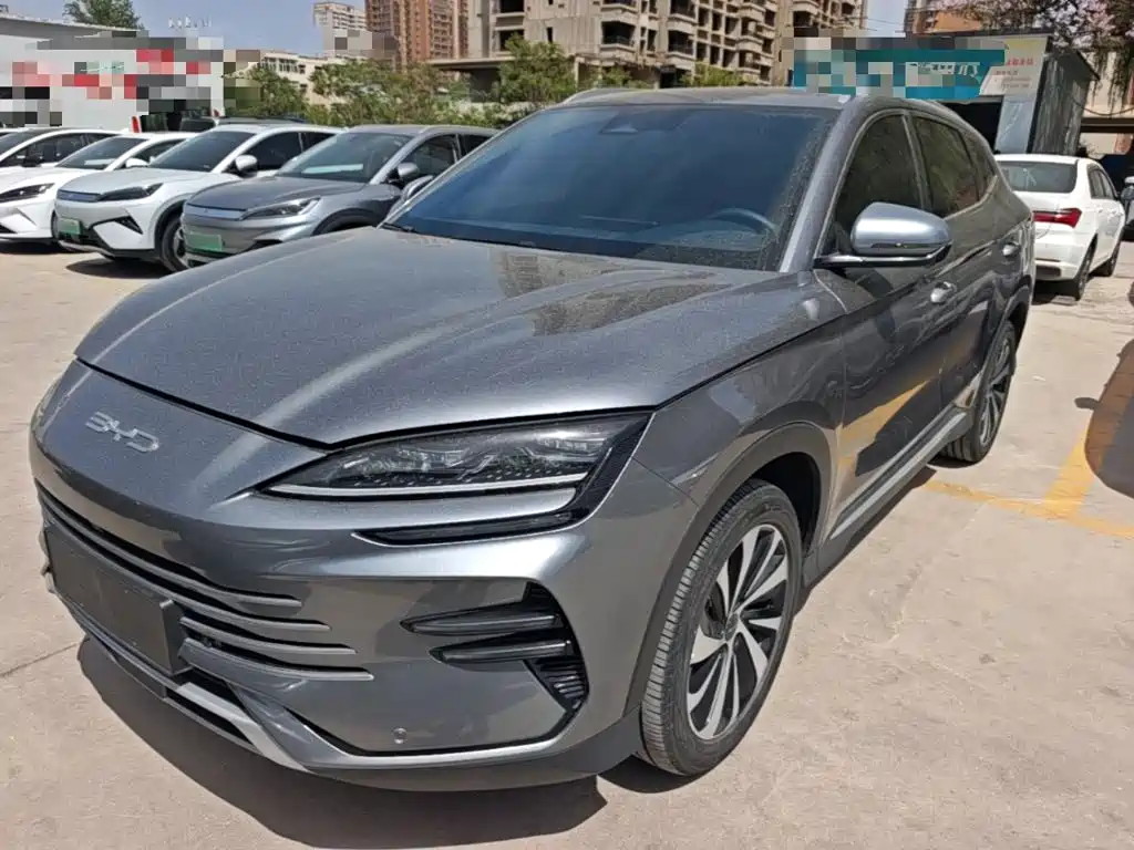 BYD Song PLUS New Energy 2024 — фото 1