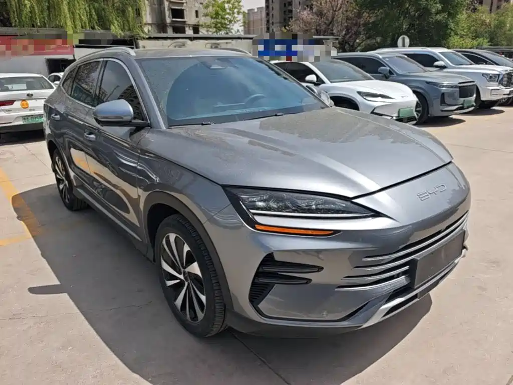 BYD Song PLUS New Energy 2024 — фото 22