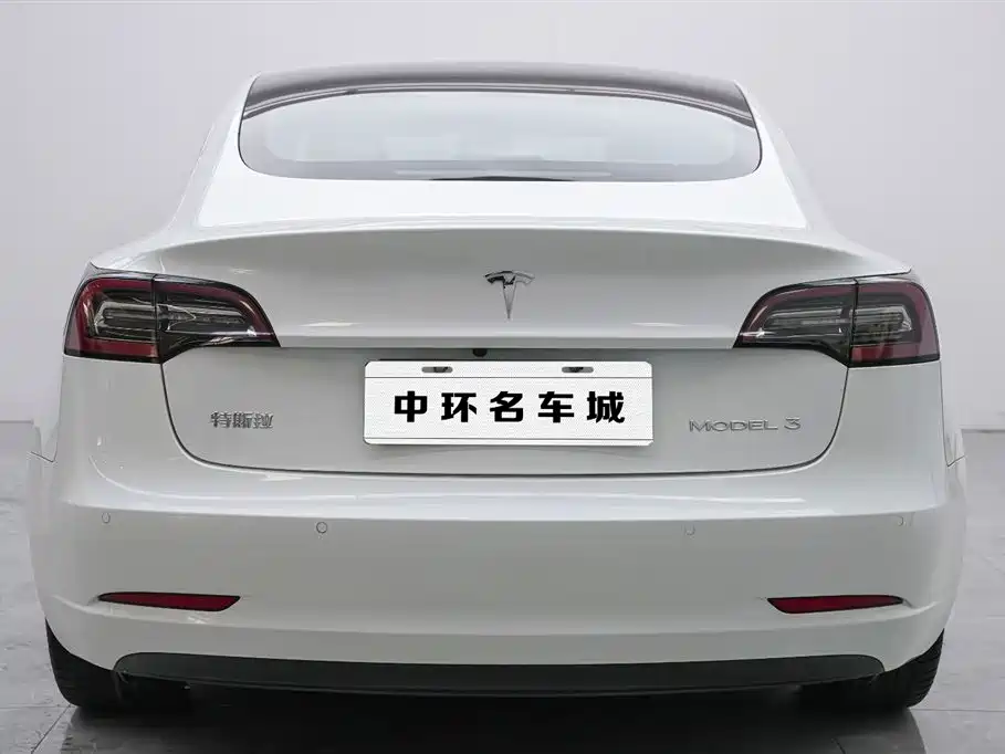 Tesla Model 3 2020 — фото 16