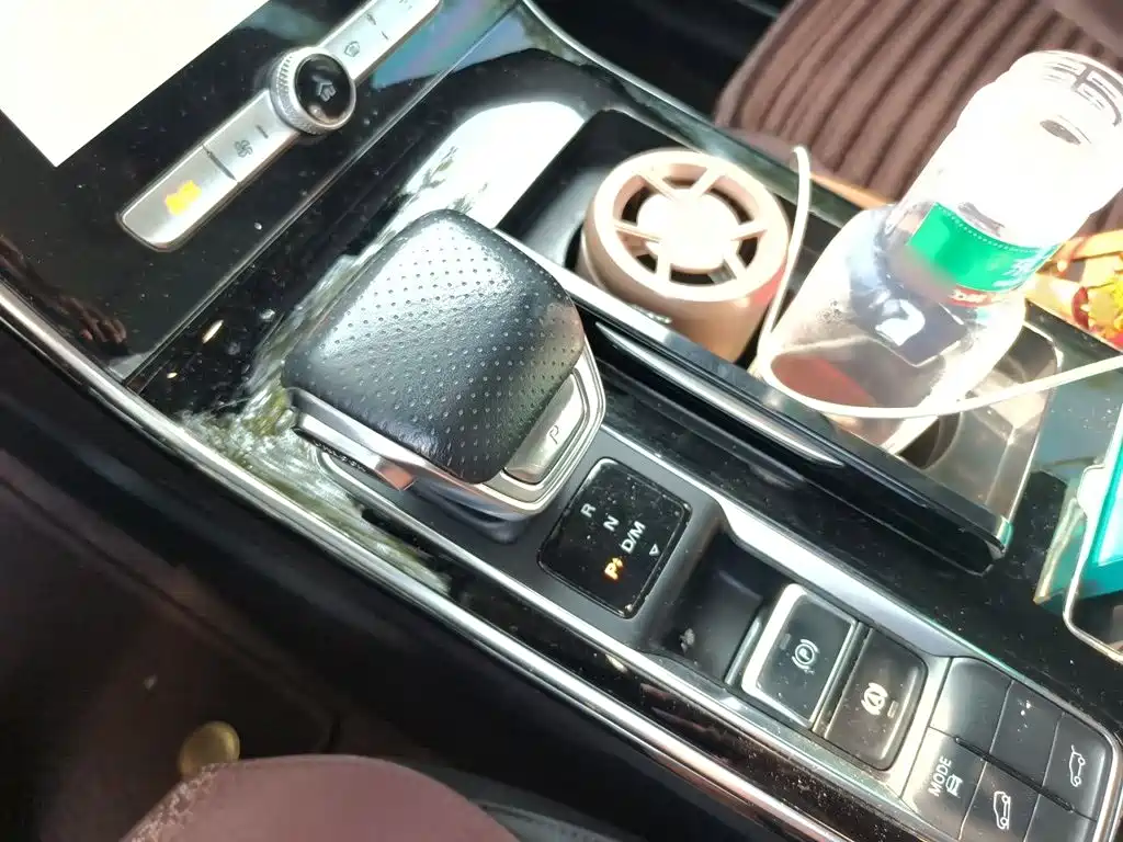 Roewe RX5 MAX 2021 — фото 11