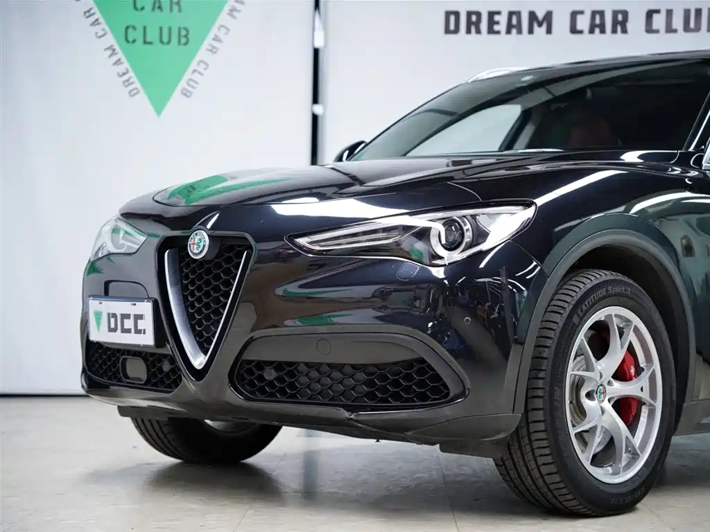 Alfa Romeo Stelvio 2018 — фото 20