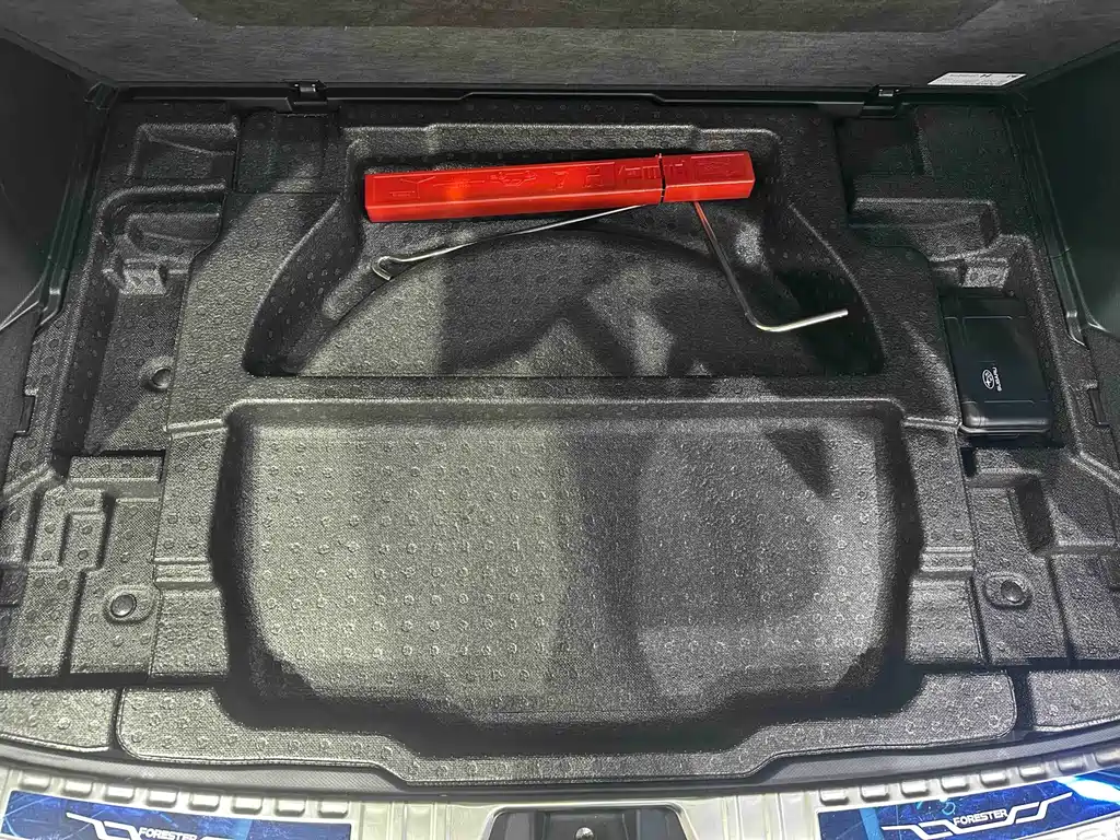 Subaru Forester 2024 — фото 19
