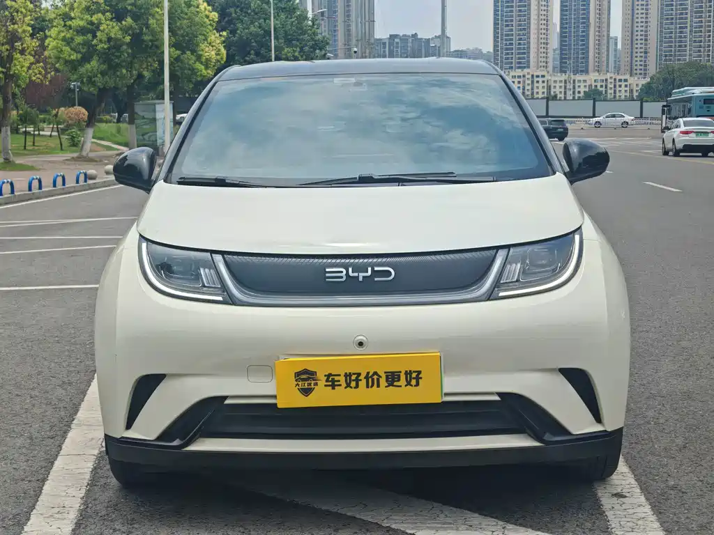 BYD Dolphin 2024