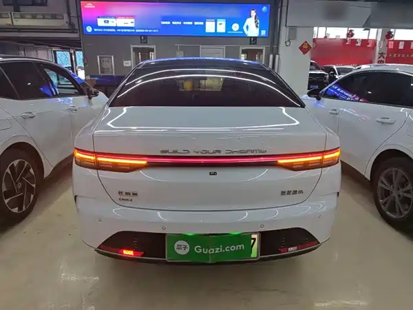 BYD Destroyer 05 2024