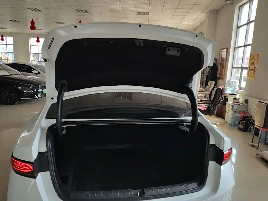 BYD Qin PLUS 2025 — фото 19