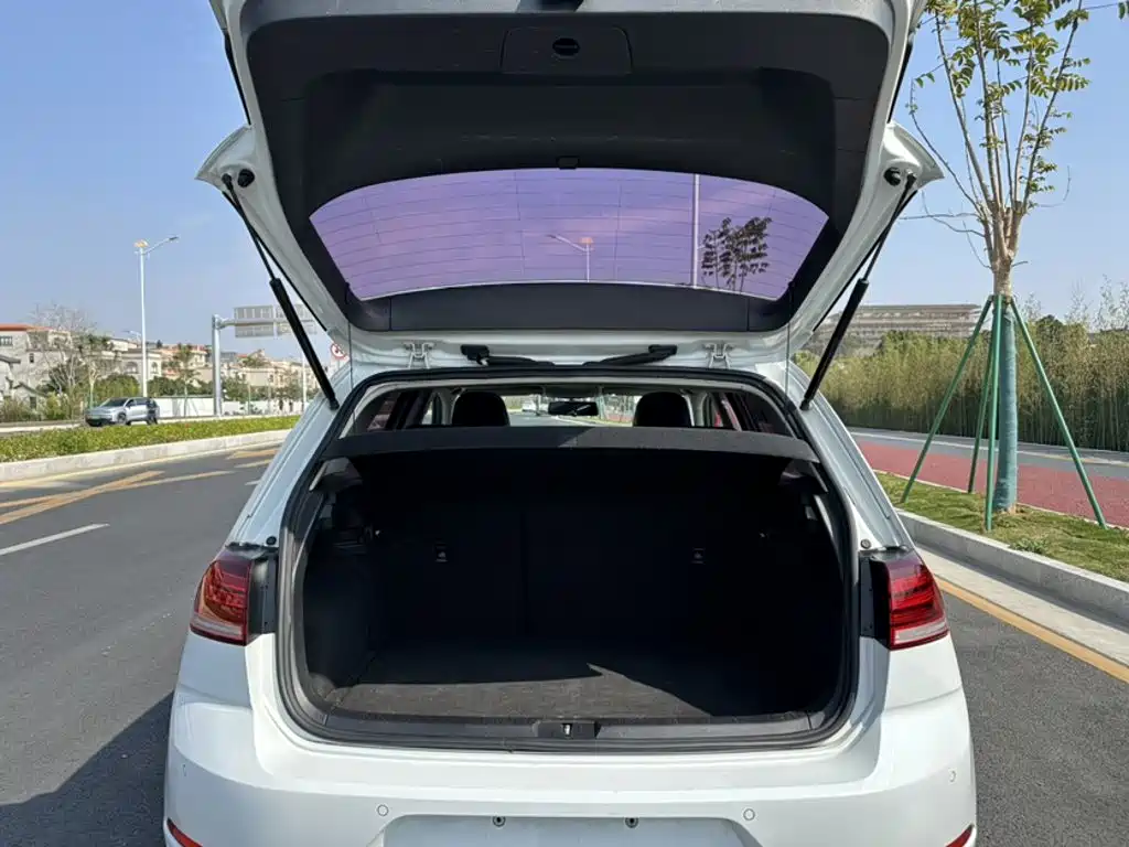 Volkswagen Golf 2018 — фото 18