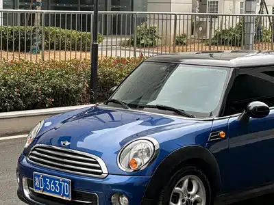 MINI MINI 2012