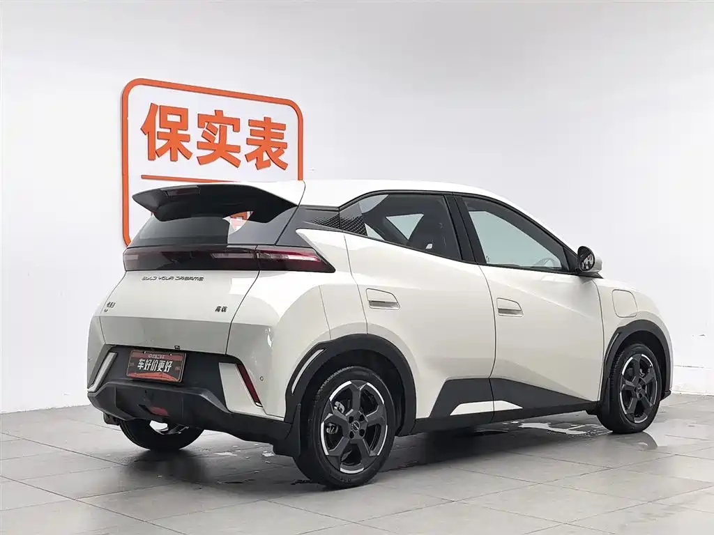 BYD Seagull 2023 — фото 2