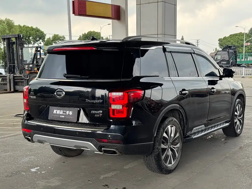 GAC Trumpchi GS8 2017 — фото 14
