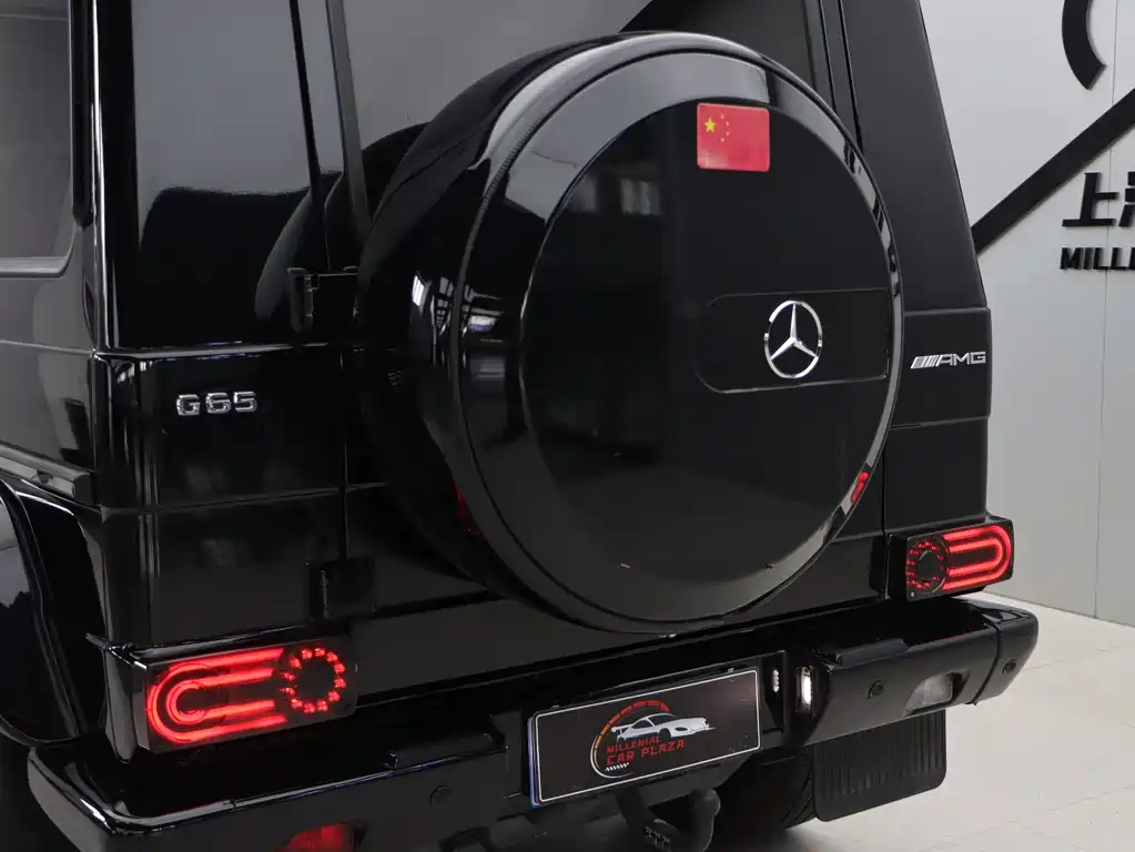 Mercedes-Benz G-Class AMG 2015 — фото 33