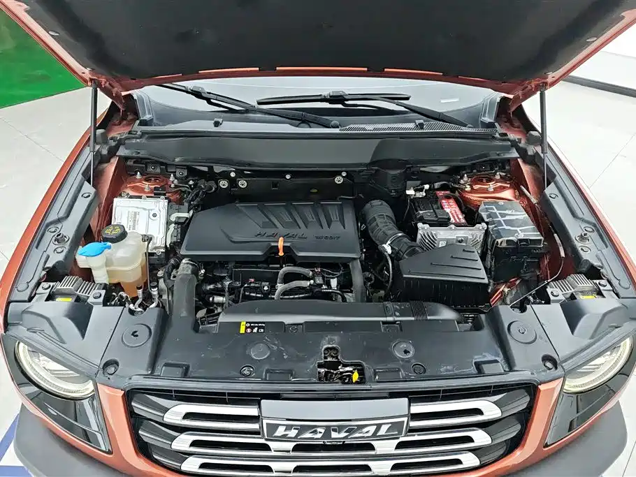 Haval Big Dog 2021 — фото 10