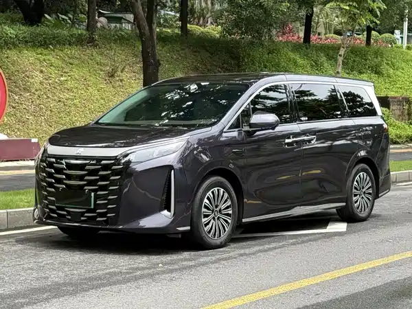 BYD Summer 2025