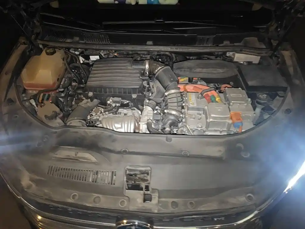 BYD Song MAX New Energy 2020 — фото 11