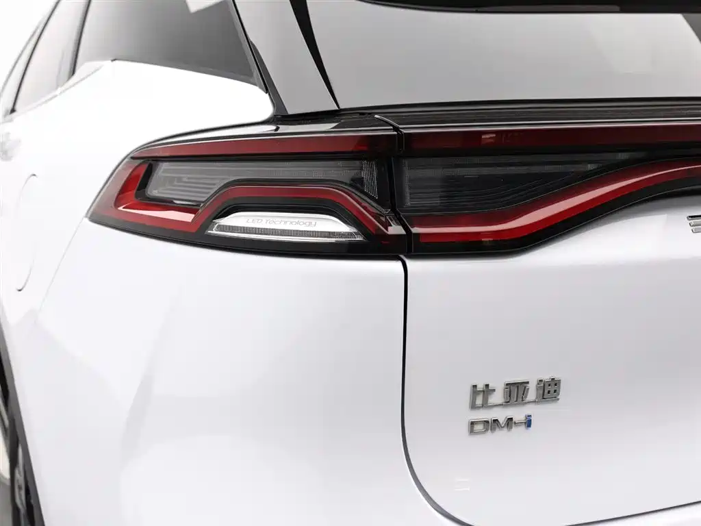 BYD Tang New Energy 2023 — фото 7