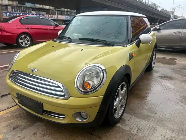 MINI 2010