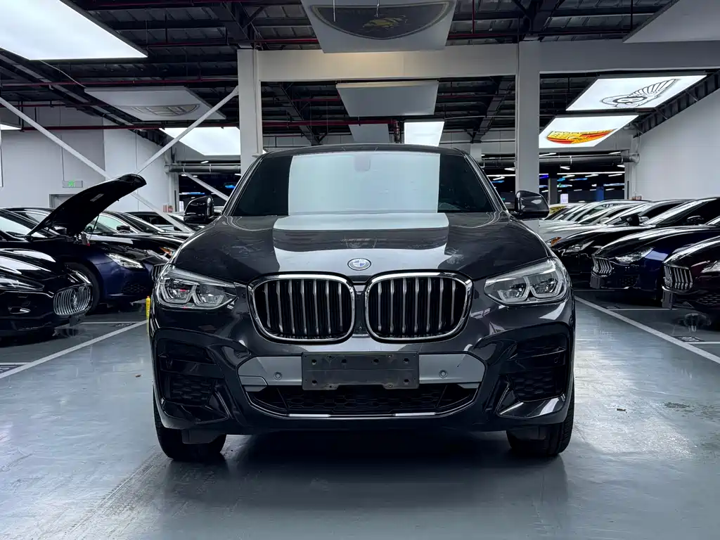 BMW X4 2020 — фото 2
