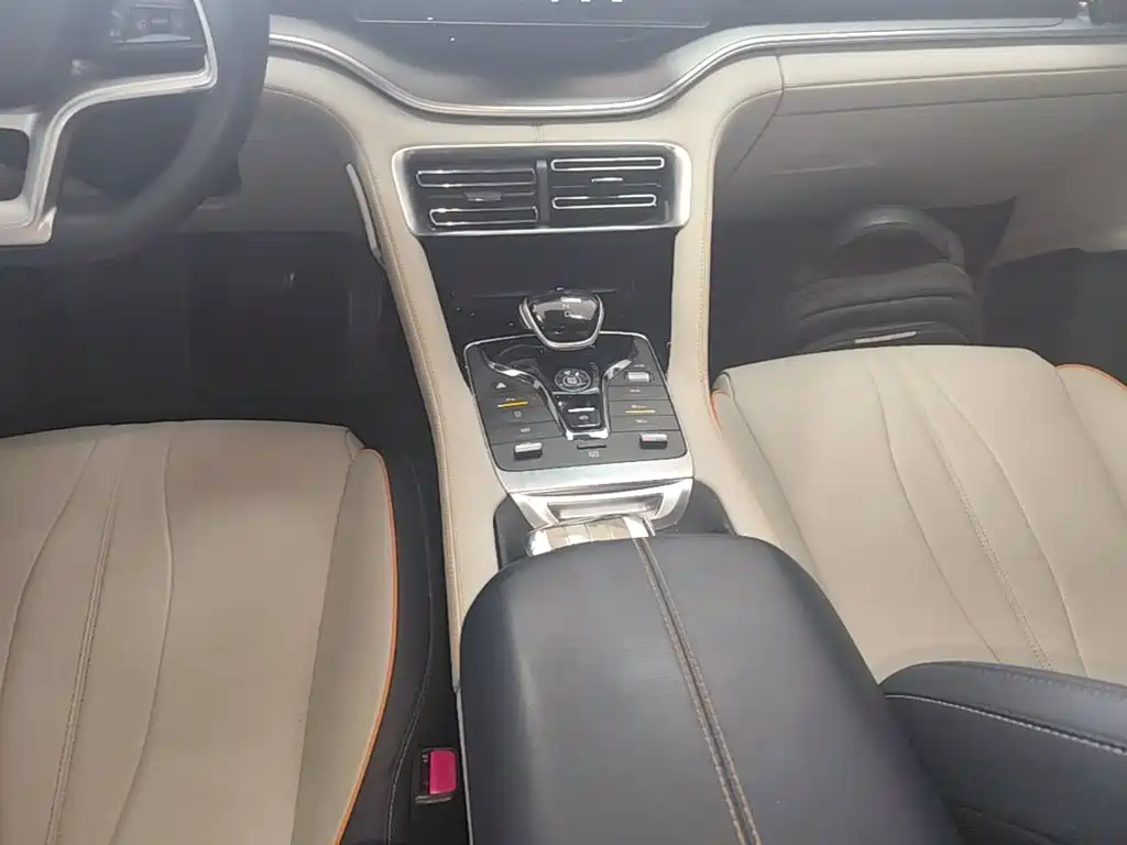 BYD Song PLUS New Energy 2022 — фото 14
