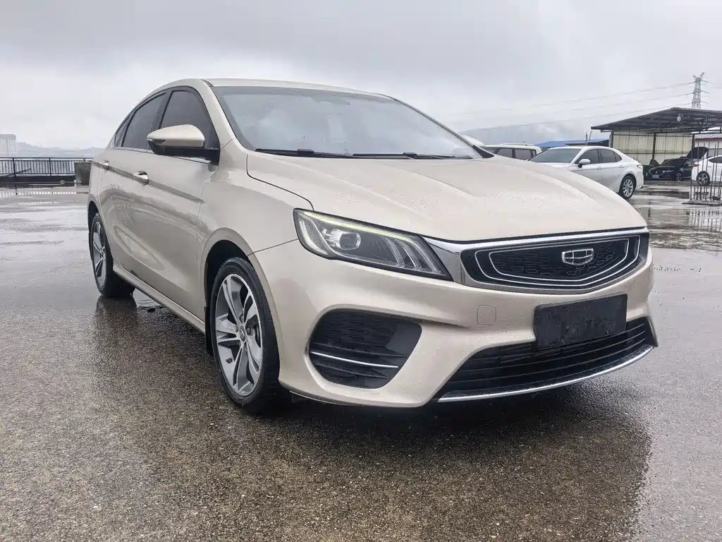 Geely Binrui 2019