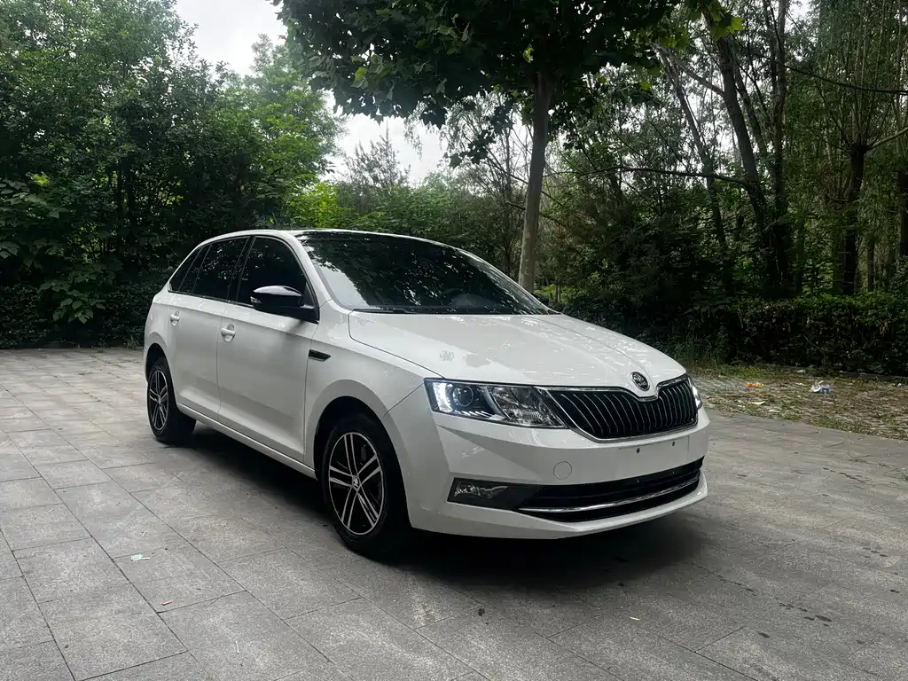 Skoda Rapid Spaceback 2019 — фото 5