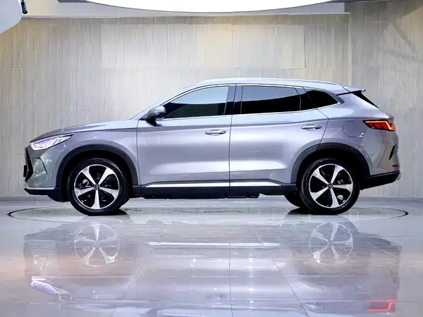 BYD Song PLUS New Energy 2021