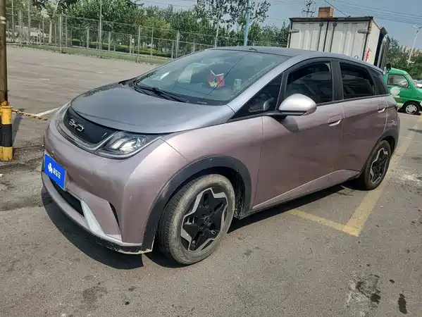 BYD Dolphin 2022