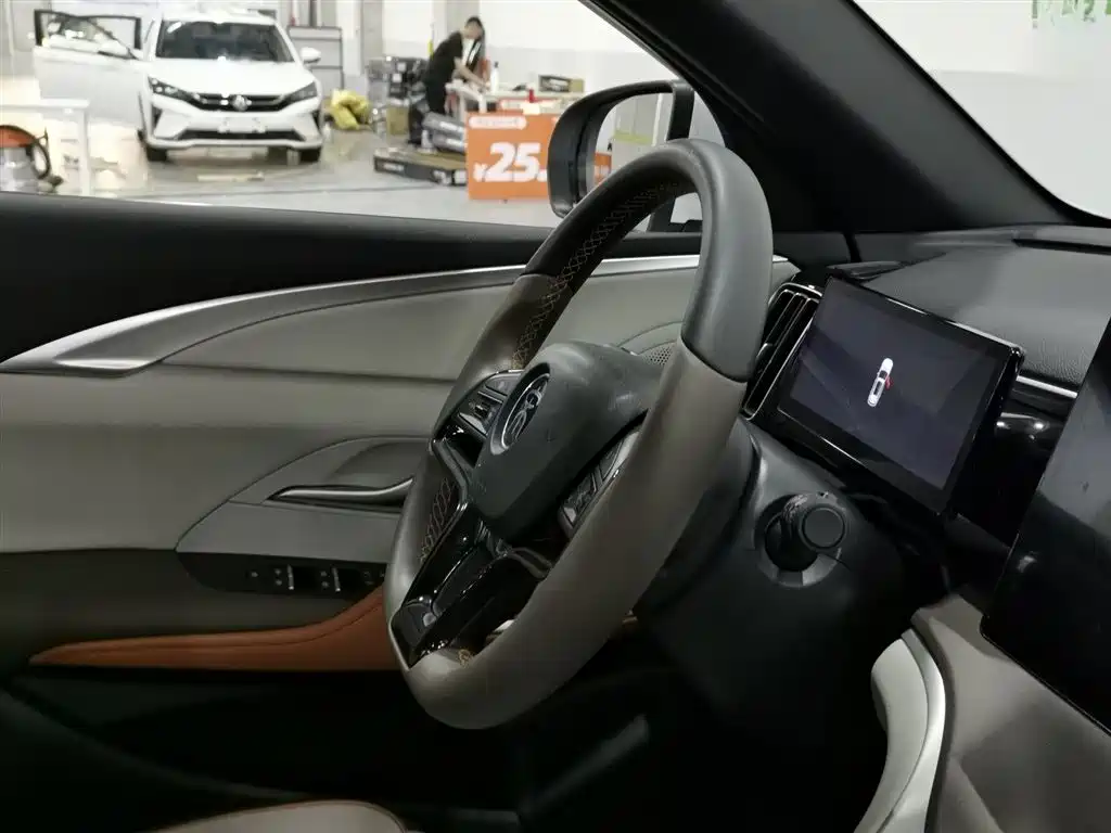 BYD Pro New Energy 2023 — фото 22