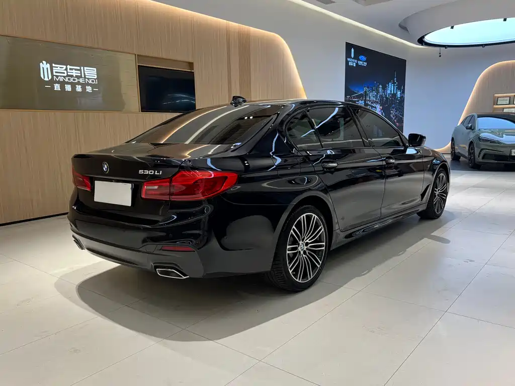 BMW 5 Series 2018 — фото 4