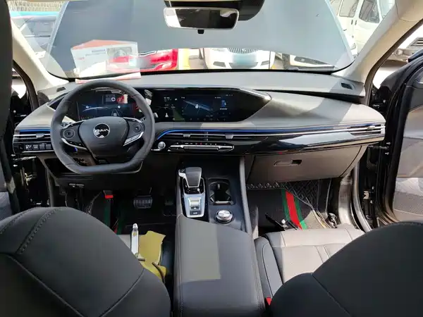 Dongfeng Haoji 2024