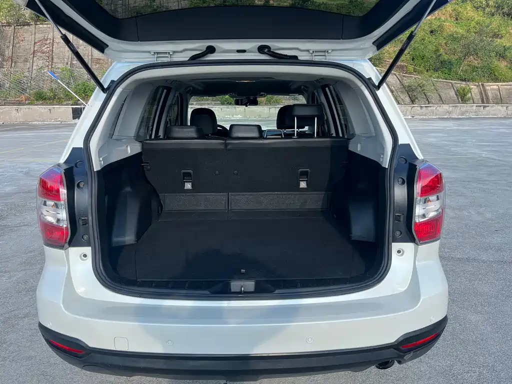 Subaru Forester 2013