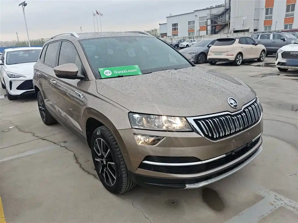 Skoda Karoq 2019 — фото 22