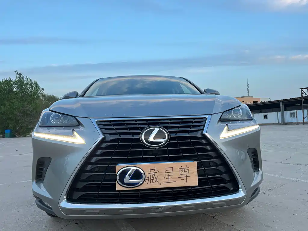 Lexus NX 2018 — фото 25