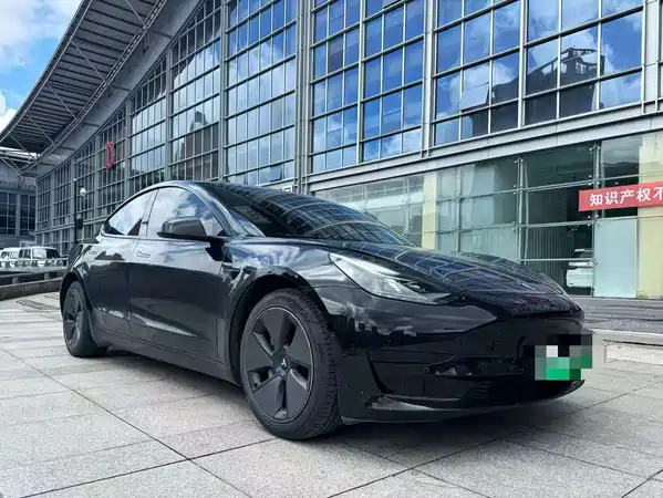 Tesla Model 3 2021