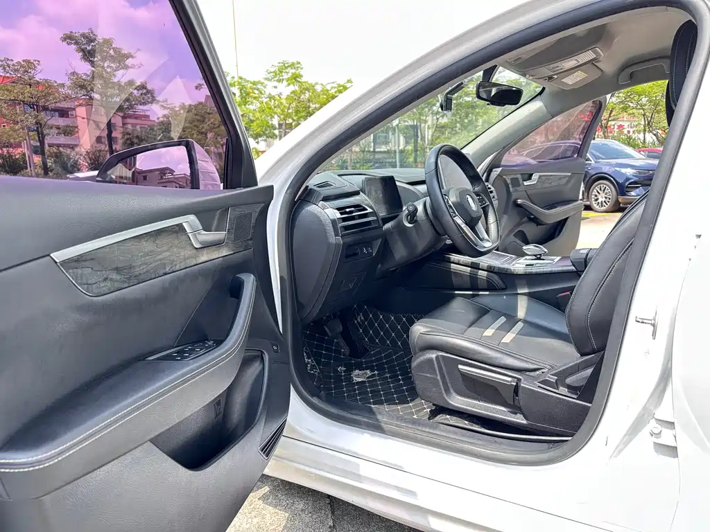 BYD Qin Pro New Energy 2019 — фото 10