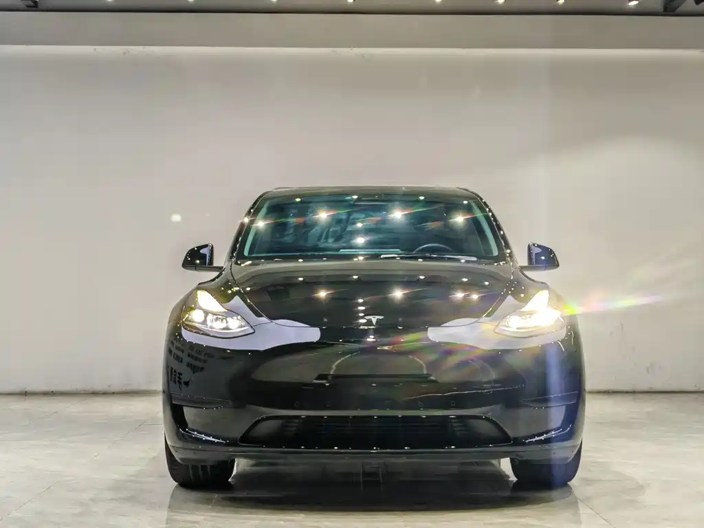 Tesla Model Y 2022 — фото 2