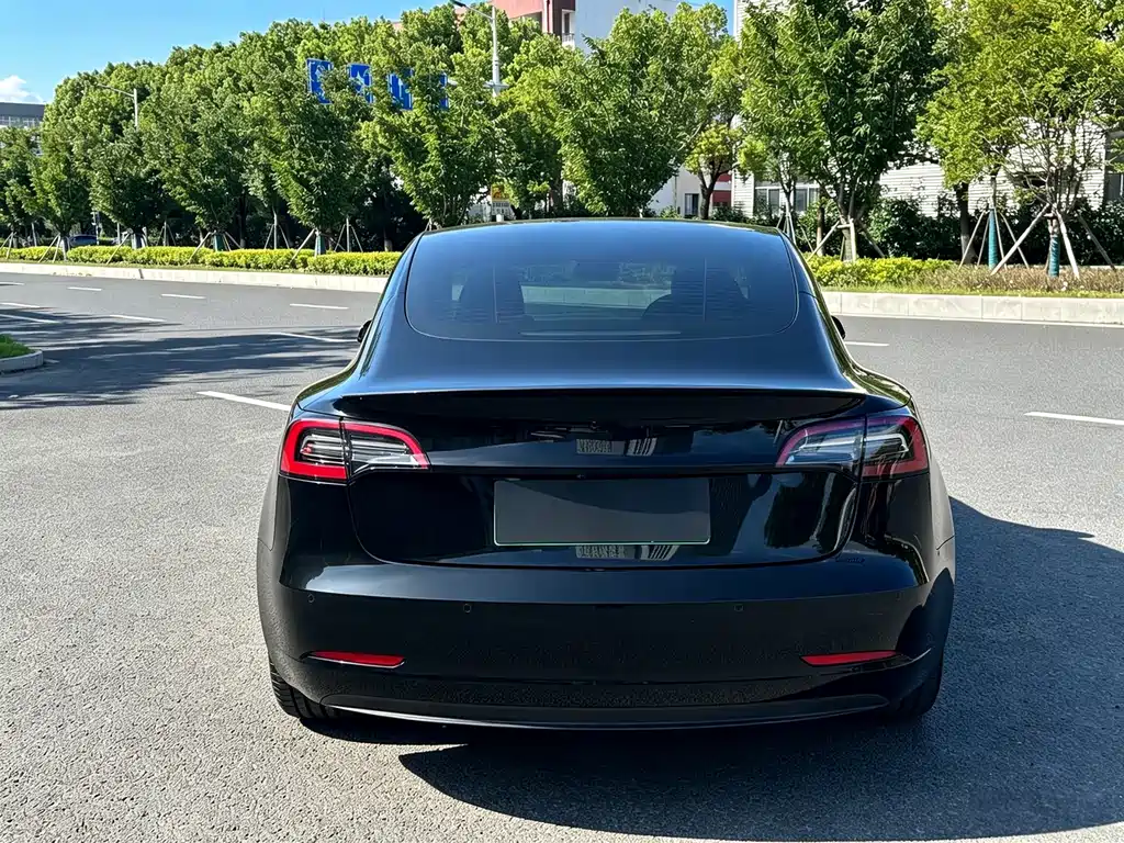 Tesla Model 3 2021 — фото 4