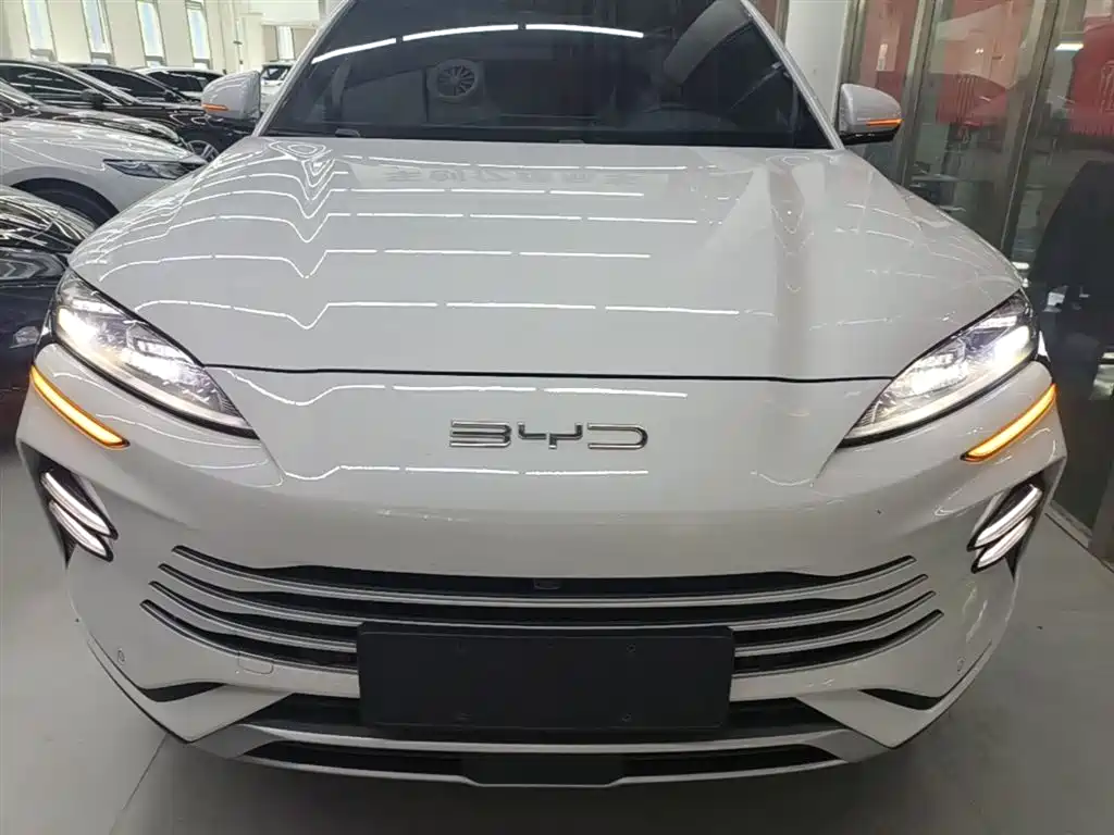 BYD PLUS New Energy 2024 — фото 3