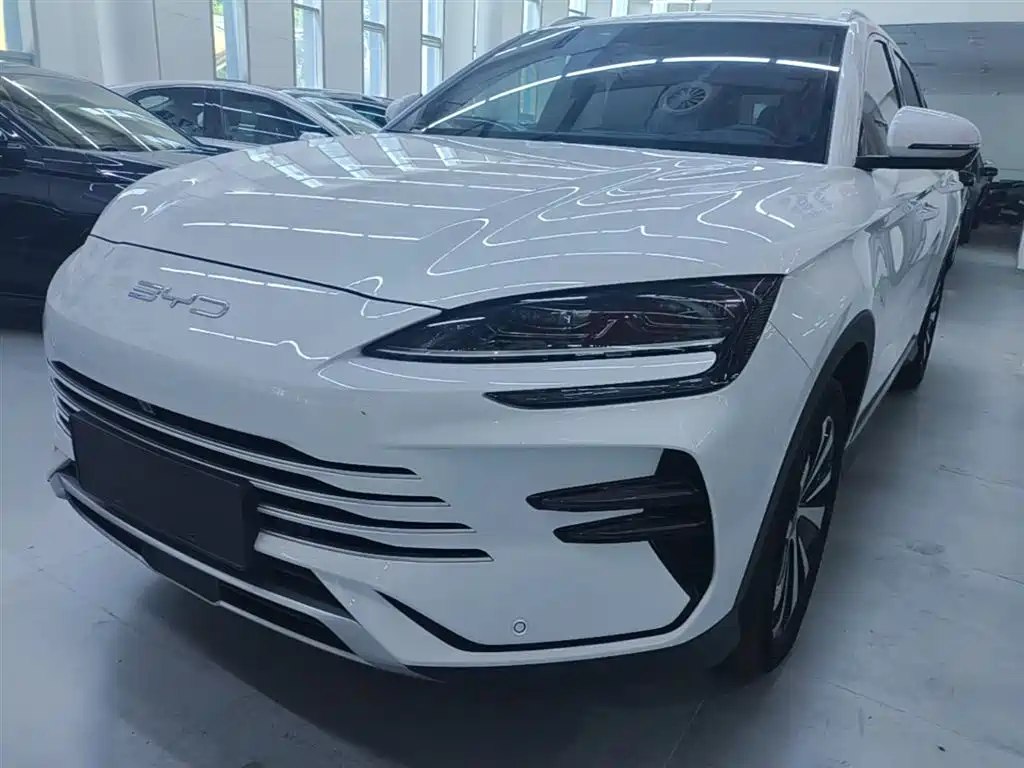 BYD PLUS New Energy 2024 — фото 1