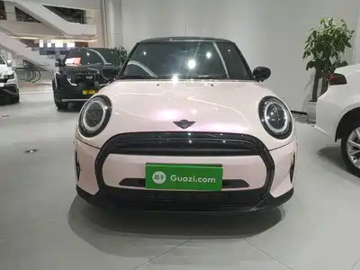 MINI MINI 2024