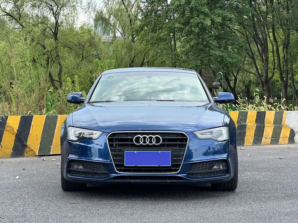 Audi A5 2013 — фото 2