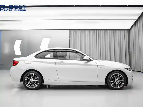 BMW 2 Series 2019