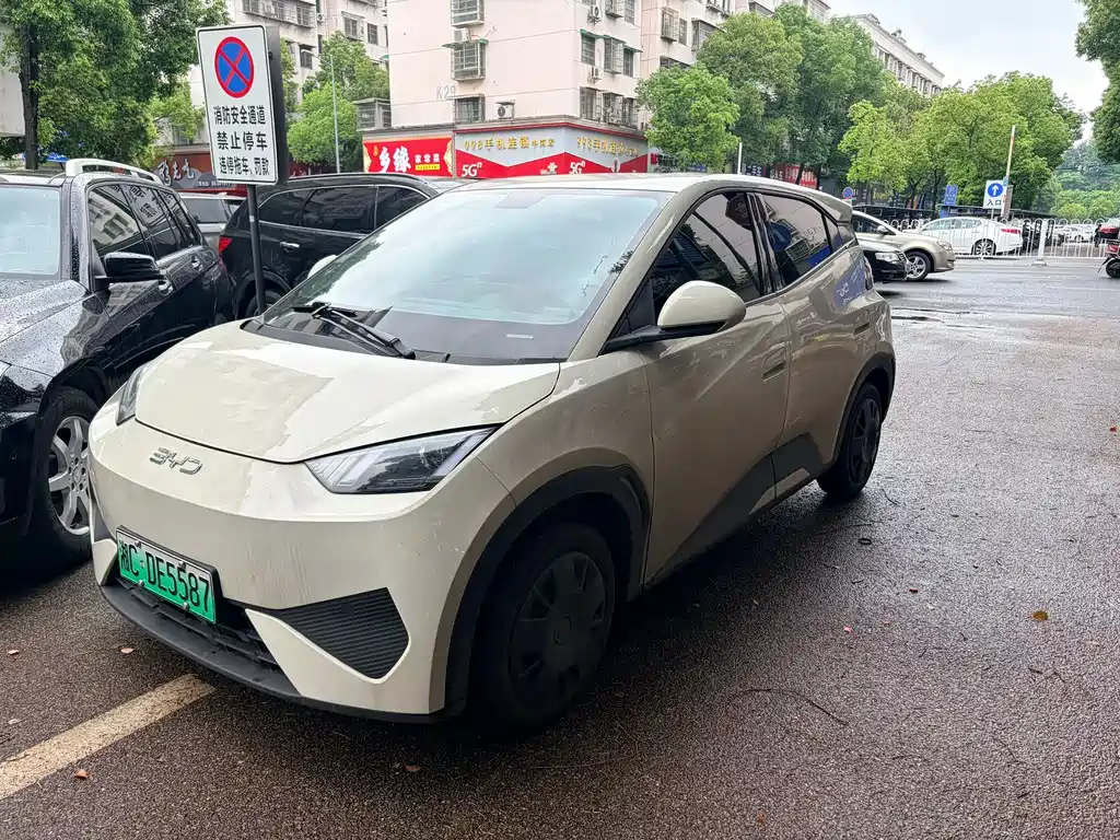 BYD Seagull 2025 — фото 1