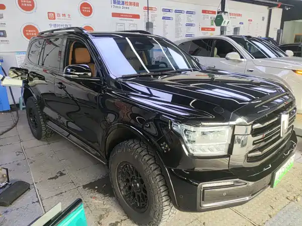 Tank 500 New Energy 2023