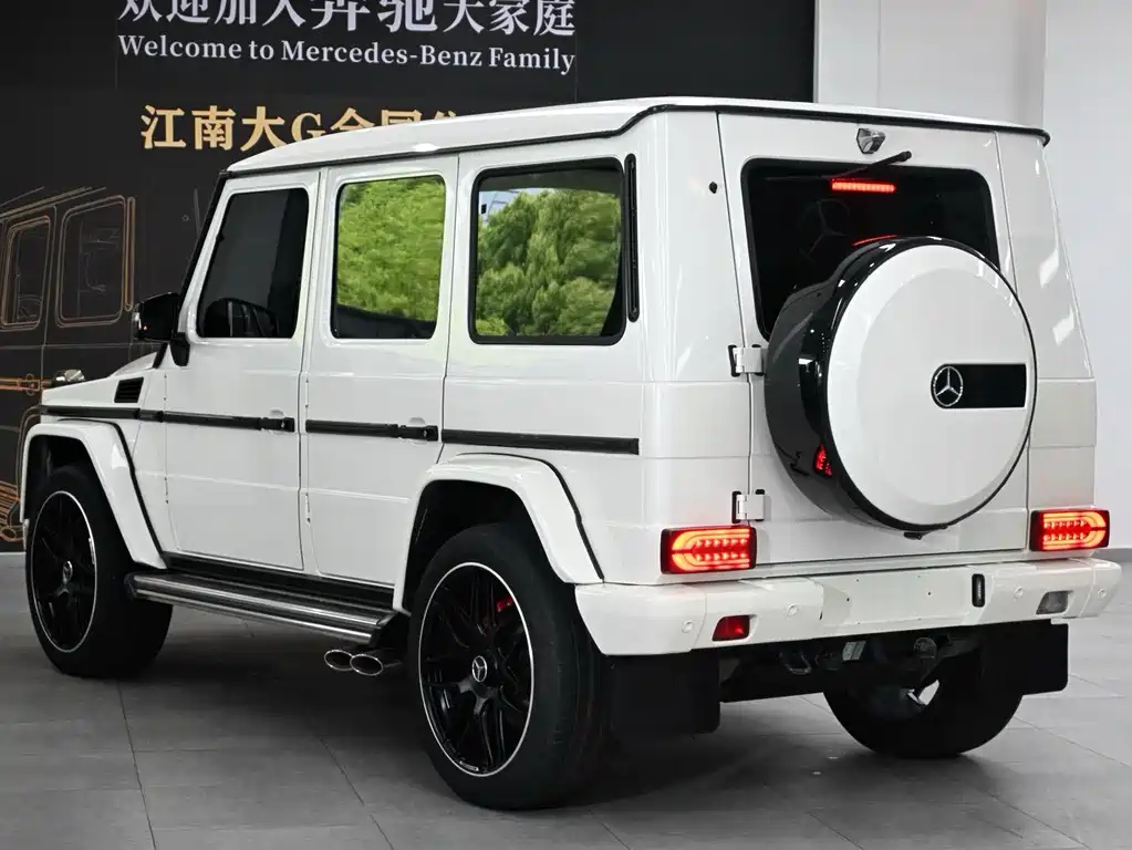 Mercedes-Benz G-Class 2018 — фото 4
