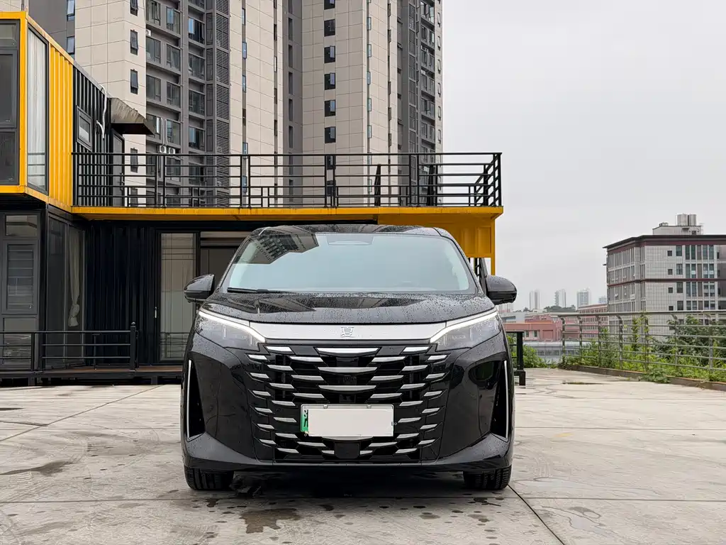 BYD Xia 2025