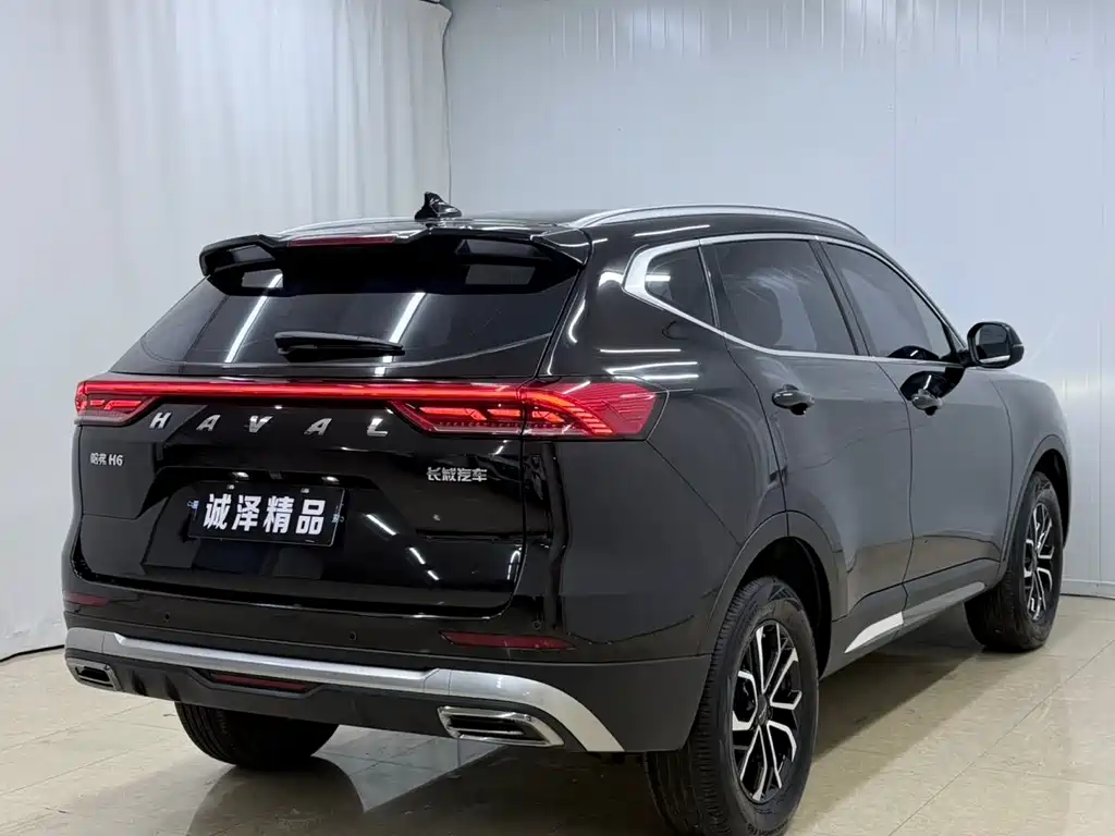 Haval H6 2023 — фото 4